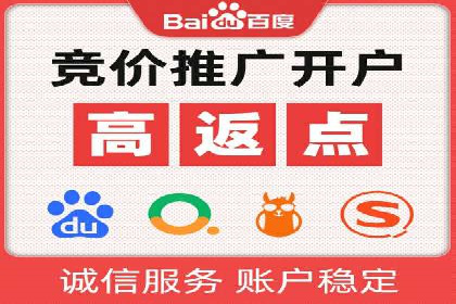 搜索引擎营销（SEM）成功案例详解